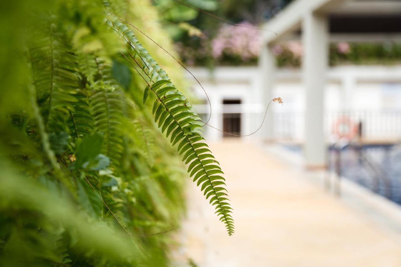 Munting Paraiso Puerto Princesa Ngoại thất bức ảnh